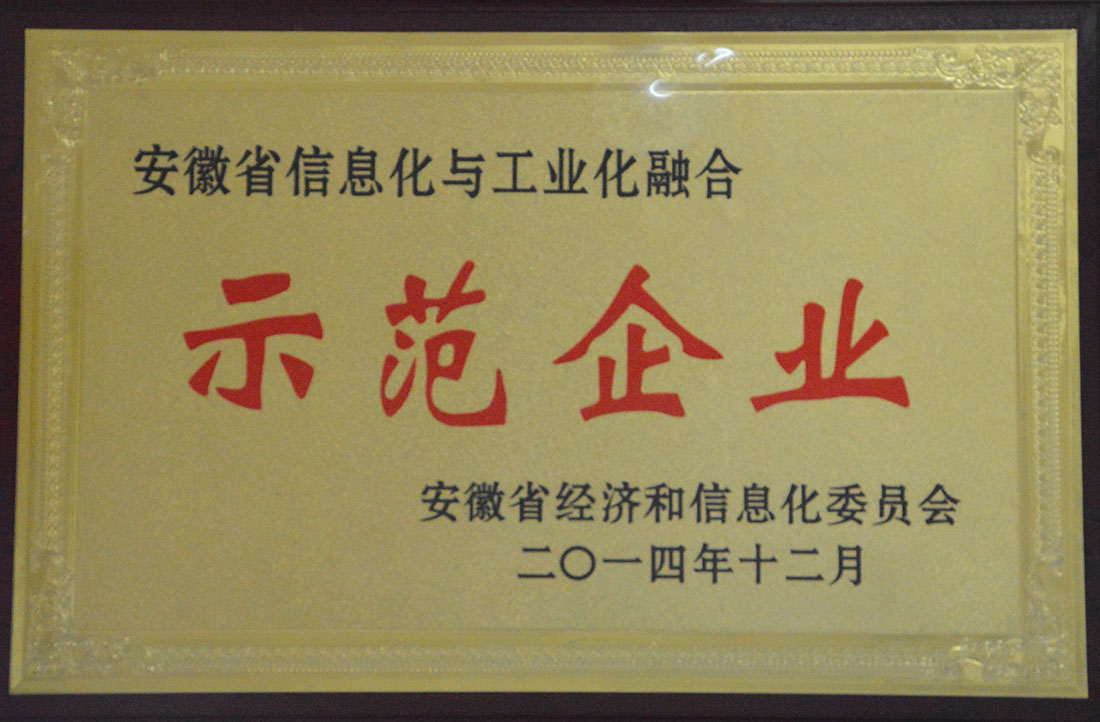安徽省信息化與工業(yè)化融合示范企業(yè).jpg
